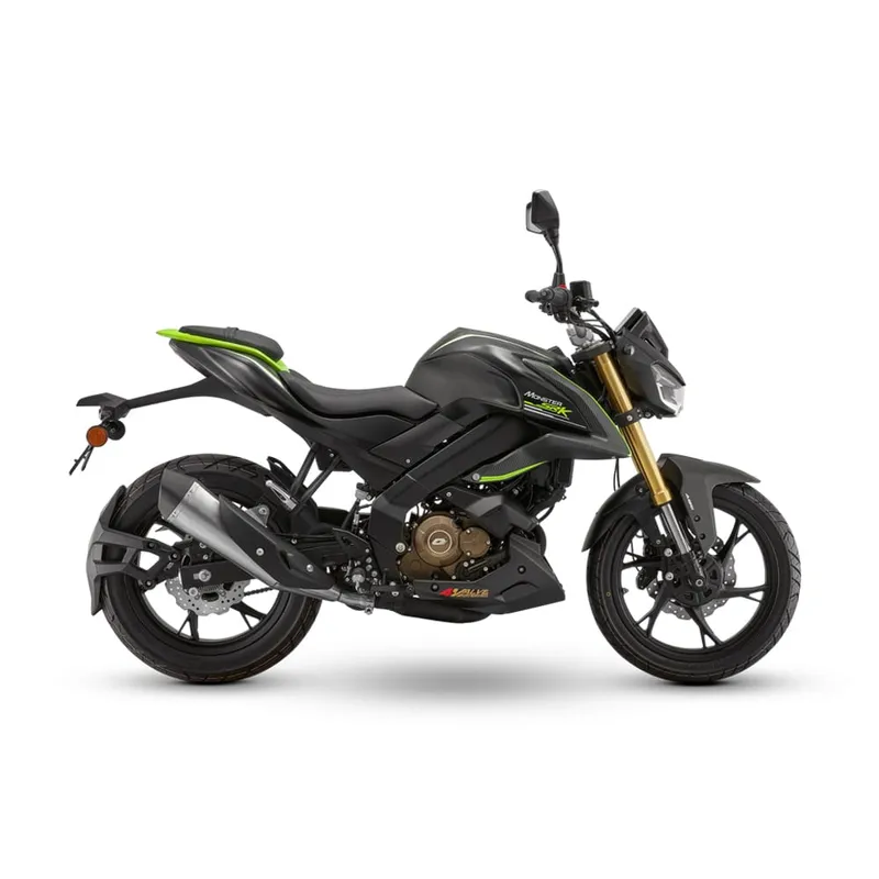 QJ Motor Monster SRK180, official product image